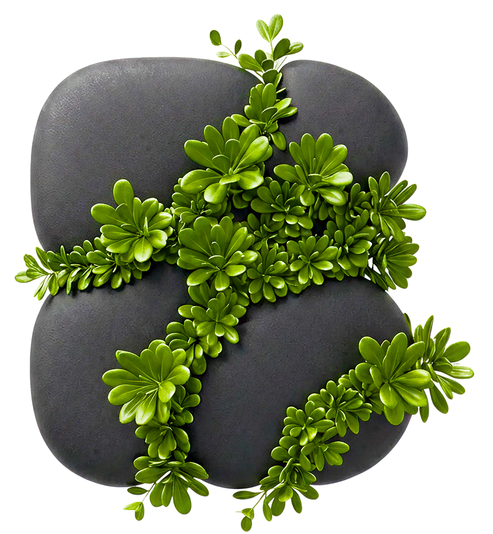 Polished stone with green growth
